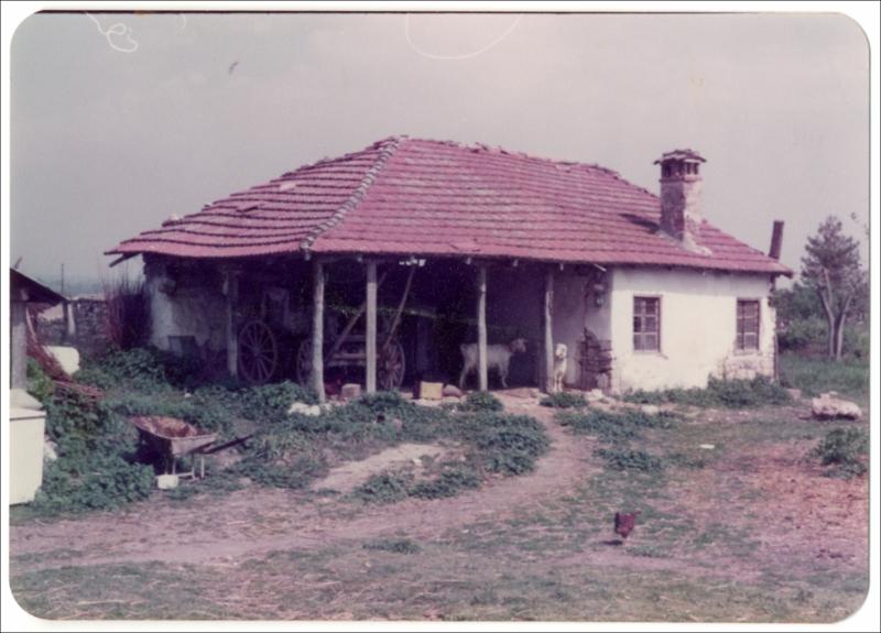 Παραδοσιακή κατοικία στην Μελίκη [Φωτογραφία]