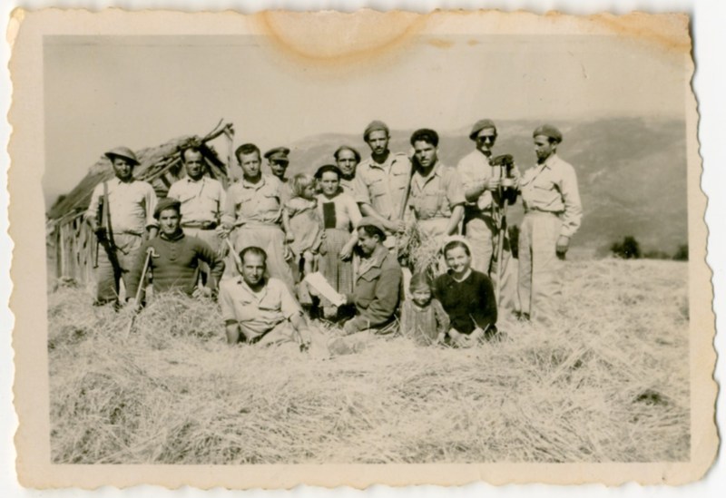Αλώνισμα στη Φυτειά