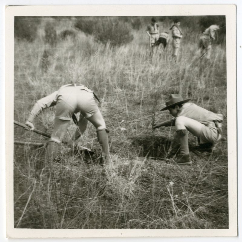Πρόσκοποι 1960