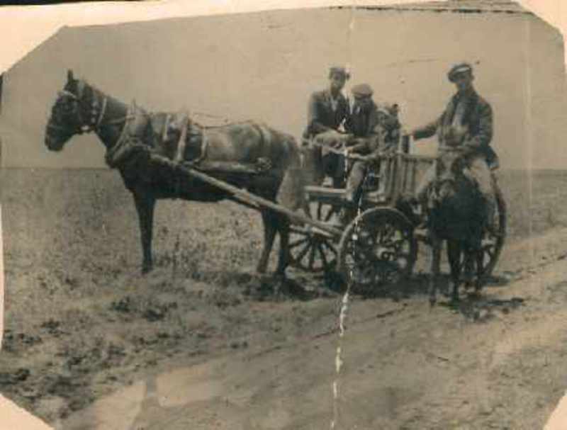Στο βάλτο, 1935