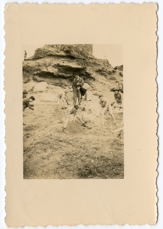 Αναδάσωση από προσκόπους 1950