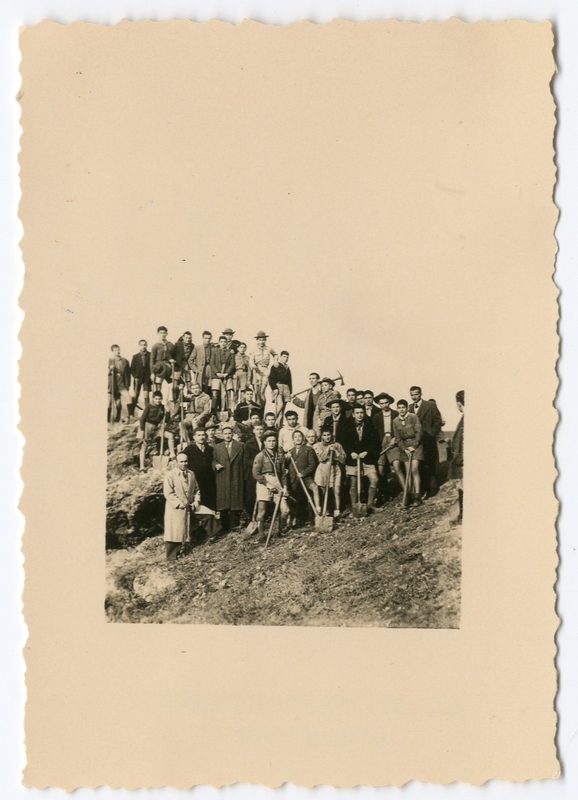 Δενδροφύτευση προσκόπων το 1950