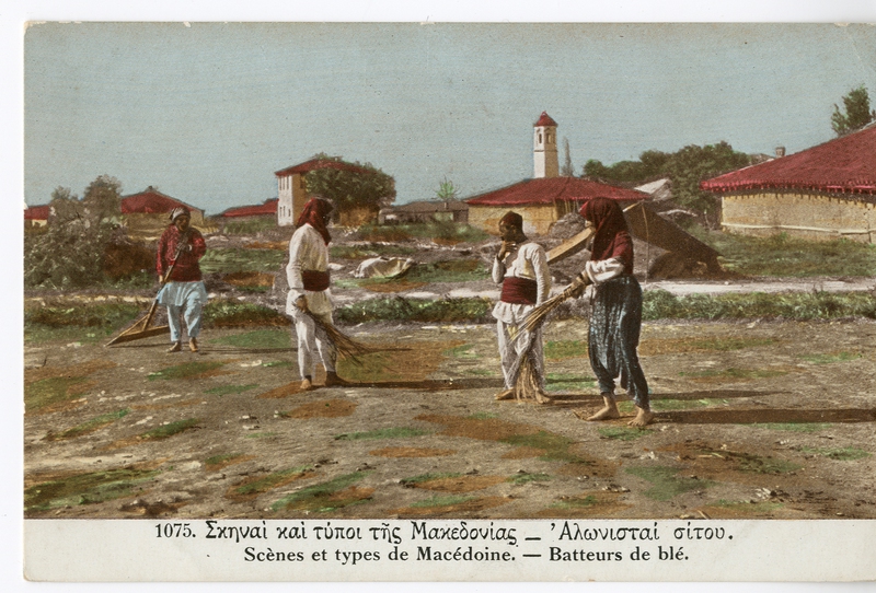 Σκηναί και τύποι της Μακεδονίας - Αλωνισταί σίτου