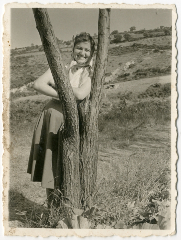 Αγία Τριάδα στο Πανόραμα Βέροιας