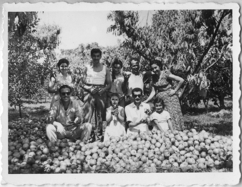 Στο κτήμα του Δημήτρη Τενεκετζίδη