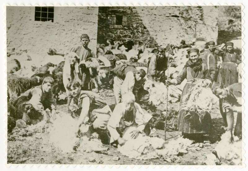 Κούρεμα προβάτων στη Βέροια το 1915