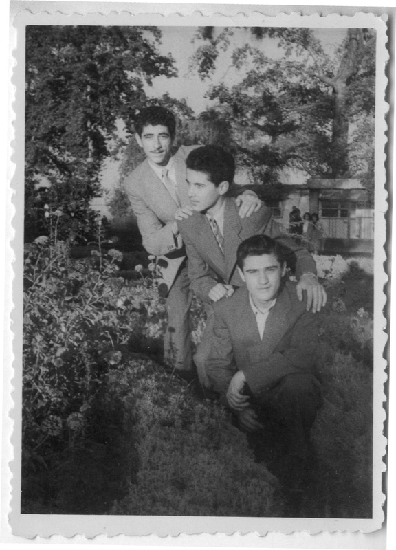 Φίλοι στο Πάρκο Εληάς, Βέροια