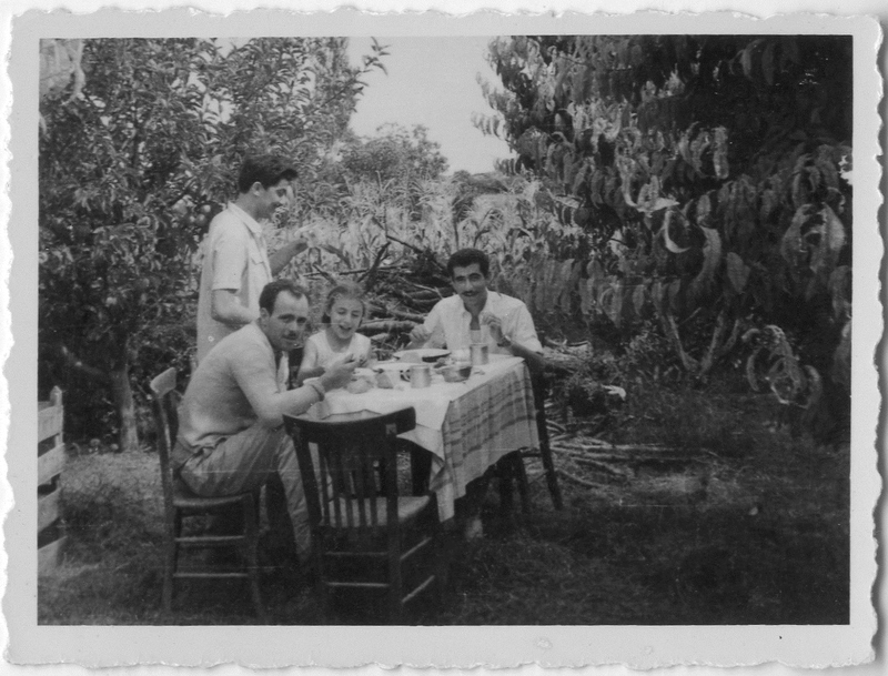 Στο κτήμα του Δημήτρη Τενεκετζίδη στην περιοχή Γιοτζαλίκια, Βέροια