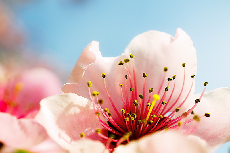 212η επιλαχούσα θέση στο διαγωνισμό φωτογραφίας 2017 του Τουριστικού Ομίλου Βέροιας. Θέμα: 