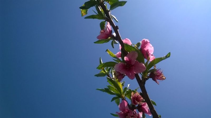 Συμμετοχή στο διαγωνισμό φωτογραφίας 2017 του Τουριστικού Ομίλου Βέροιας με θέμα : 