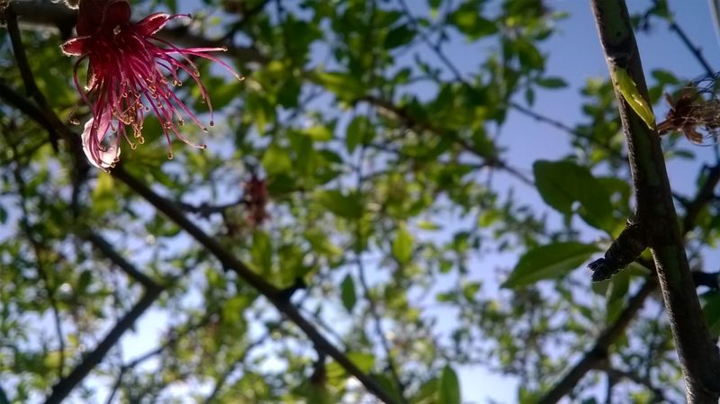 Συμμετοχή στο διαγωνισμό φωτογραφίας 2017 του Τουριστικού Ομίλου Βέροιας με θέμα : 