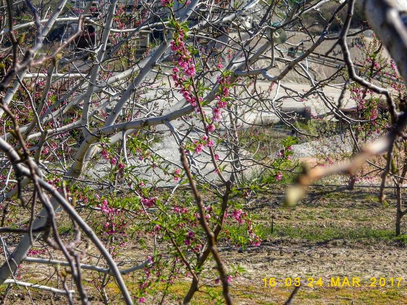 Συμμετοχή στο διαγωνισμό φωτογραφίας 2017 του Τουριστικού Ομίλου Βέροιας με θέμα : 