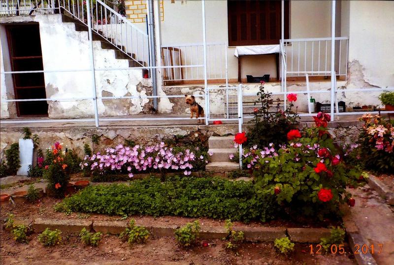 Οικία Σταύρου Τενεκετζίδη