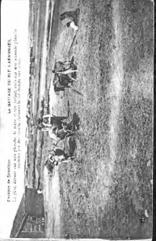 Environs de Salonique, le battage du ble a       armankeil  : le pere, debout sur une planche, la mere et son enfant, assis sur une seconde planche trainees par des boeufs, ecrasent le ble etendu sur le sol [Γραφικά]
