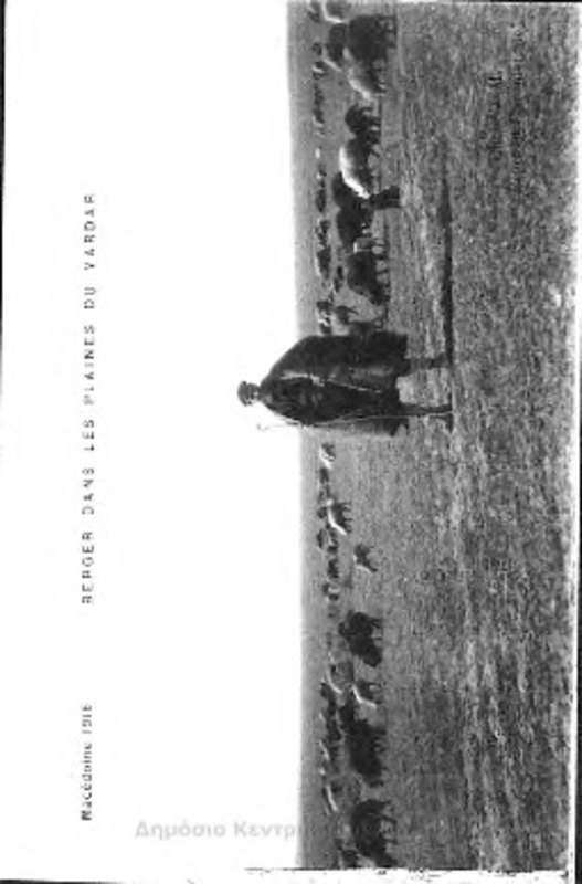 Berger dans les plaines du Vardar, Macedoine 1916 [Γραφικά]