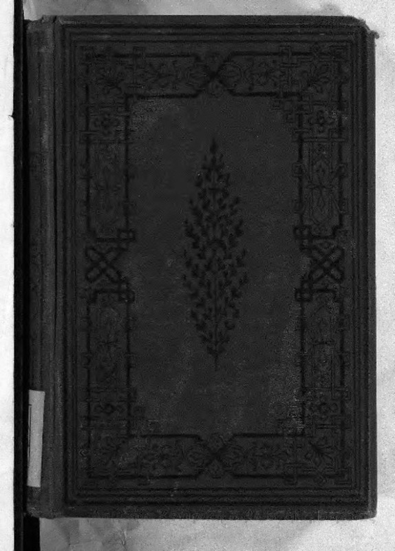 Tales and sketches / by Hugh Miller, edited with a preface by Mrs Miller